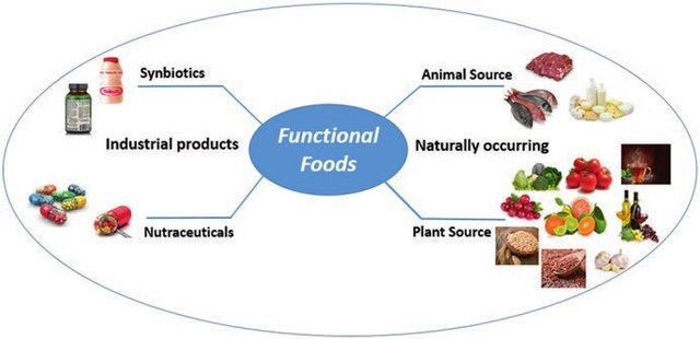 Functional Foods science