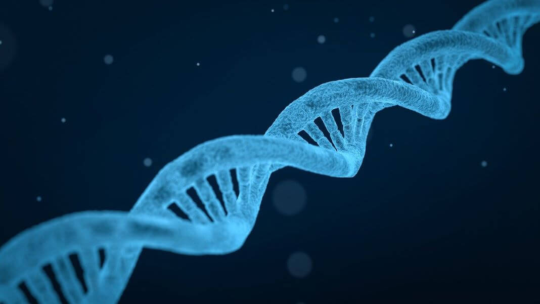 A Renaissance of Genomics and Drugs Is Extending Human Longevity