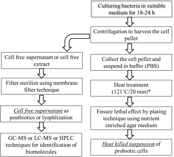 Postbiotics-parabiotics: the new horizons in microbial biotherapy and functional foods | Microbial Cell Factories | Full Text