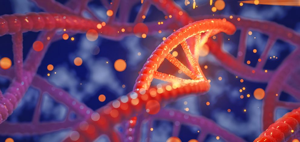 Ein Genwerkzeug fürs Epigenom - Modifizierte Version von CRISPR/Cas9 verändert gezielt die Genaktivität - scinexx.de